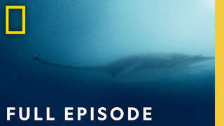 Secrets of Loch Ness (Full Episode) | Drain the Oceans
