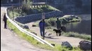 Веселая пробежка