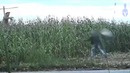 Лучшие приколы 2018 [Fun Army] Март
