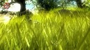 (PG) ТОП-10 Твой выбор. Лучшие постапокалиптические игры