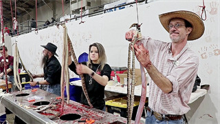 Охота на змей в Техасе: зоозащитники называют её «ужасной»