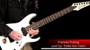 20 Building Blocks of Shred