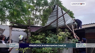 Сильный ветер Хорезмской области разрушил крыши организаций и жилых домов