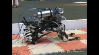 Робот PIGORASS научился бегать