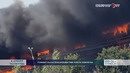 Toshkent viloyatidagi bozorda yirik yong‘in sodir bo‘ldi