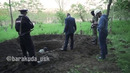 Виталий Наливкин в защиту леса