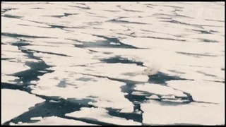 Арктика. Выбор смелых. Документальный фильм