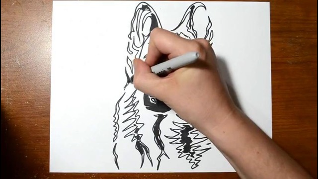 Рисуем Собаку – Идея для Дизайна