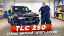 TLC 250 – самый жирный Toyota Prado