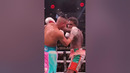 Джермалл Чарло победил Хосе Бенавидеса #boxing #бокс