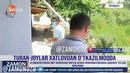 Kadastr Andijon xatlov