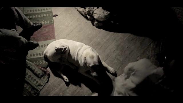Собака – короткометражный фильм
