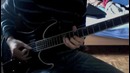 In the Groves of Death (Insomnium Cover)