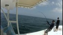 GT Popping The Perfect Day