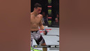 Alexander Volkanovski is a TERROR