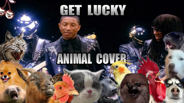 Daft Punk ft. Pharrell Williams, Nile Rodgers – Get Lucky (Animal Cover)