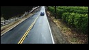 Thrice – Black Honey [Official Video