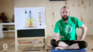 Как самостоятельно практиковать йогу