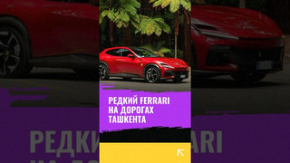 На дорогах Ташкента заметили редчайший кроссовер Ferrari Purosangue