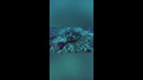 Морской чёрт или Подводная Машина для Убийств