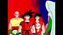 Dragon Ball – 133 Серия