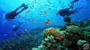 20 самых опасных видов спорта
