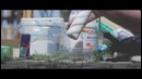 Lokomotiv Park Graffiti by Michael Pashkov – Molowski Edit