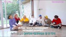 2019 BTS Seasons Greetings (рус. саб)