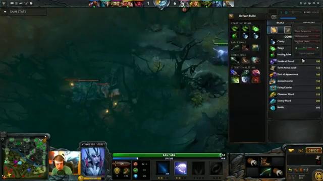 Dota 2 Purge plays Vengeful Spirit – by Purgegamers