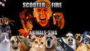 Scooter – Fire (Animal Cover)