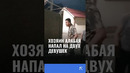 В Ташкента произошел конфликт между владельцами собак, который перерос в физическую драку #ташкент