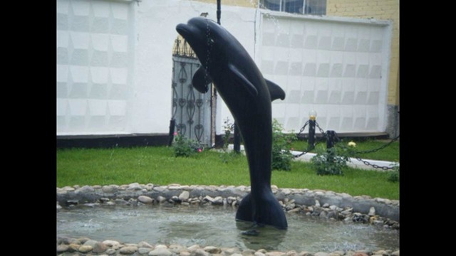 Чёрный дельфин