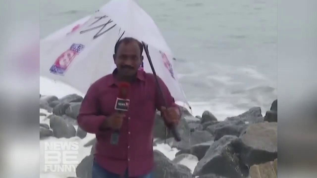 Best coub #15 июль 2019 лучшие приколы 2019 смешные животные и другие приколы