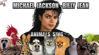 Michael Jackson – Billy Jean (Animal Cover)