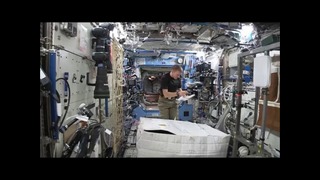 Астронавты разыграли побег от гориллы на борту МКС