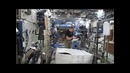 Астронавты разыграли побег от гориллы на борту МКС