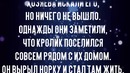 Кролик спас щенят на сильном морозе