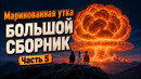 Маринованная утка. Большой выпуск, часть 5