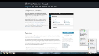 Установка WordPress на OpenServer