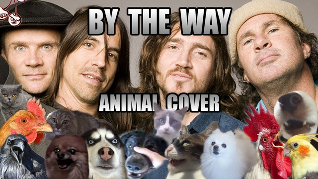 Red Hot Chili Peppers – By The Way (Animal Cover)