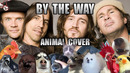 Red Hot Chili Peppers – By The Way (Animal Cover)