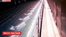 Мужчина спас пассажиров от пьяного хулигана