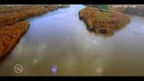 Mississippining yovvoyi tabiati Wild Mississippi