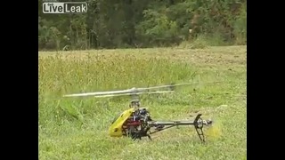 Вертолет привлекает насекомых