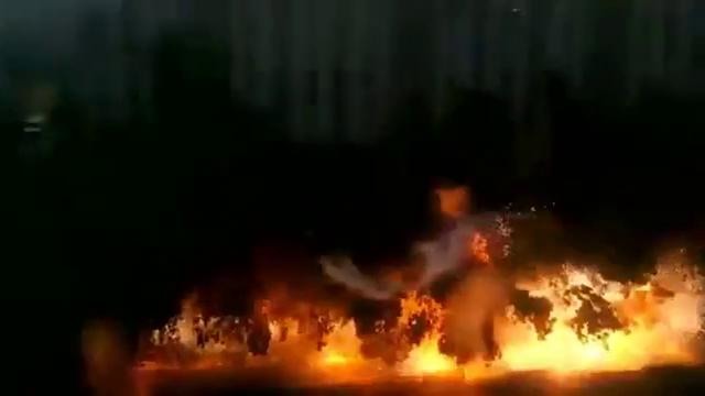 Замыкание ВЛ 110 кВ через дерево