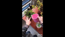 TikTok видео № 1