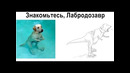 Лютые приколы. динособака