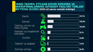Samarqand viloyatida kichik biznes va xususiy tadbirkorlik (2020 – yil yanvar-sentabr holatiga)