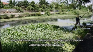 Пример Таиланда по предотвращению загрязнения воды в реках