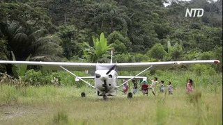Четырёх детей, выживших в авиакатастрофе, ищут в джунглях Колумбии